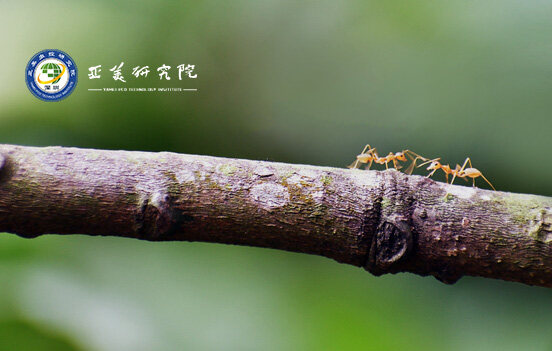 御林军有害生物防治（深圳）有限公司